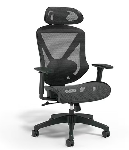 Staples dexley ergonomic mesh - dexley,