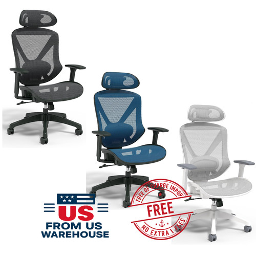 Staples dexley ergonomic - staples, mesh