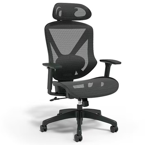 Staples dexley ergonomic mesh - dexley,